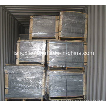 Hot-DIP Galvanized Welded Wire Mesh Panel (HPZS5006)